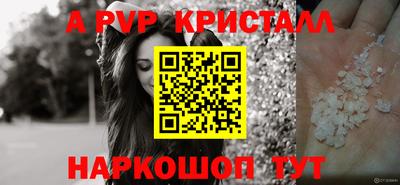 амф Гусев