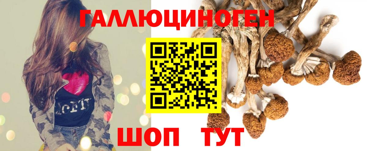 Галлюциногенные грибы Psilocybine cubensis  Вход с VPN  Магадан 